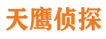 碑林市私家侦探